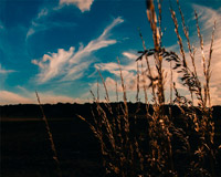 手机号短信轰在线轰炸免费软件