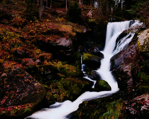 在线手机号轰炸网页版