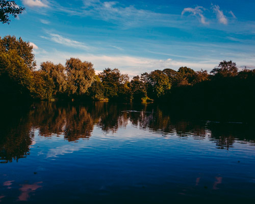 在线短信轰炸软件