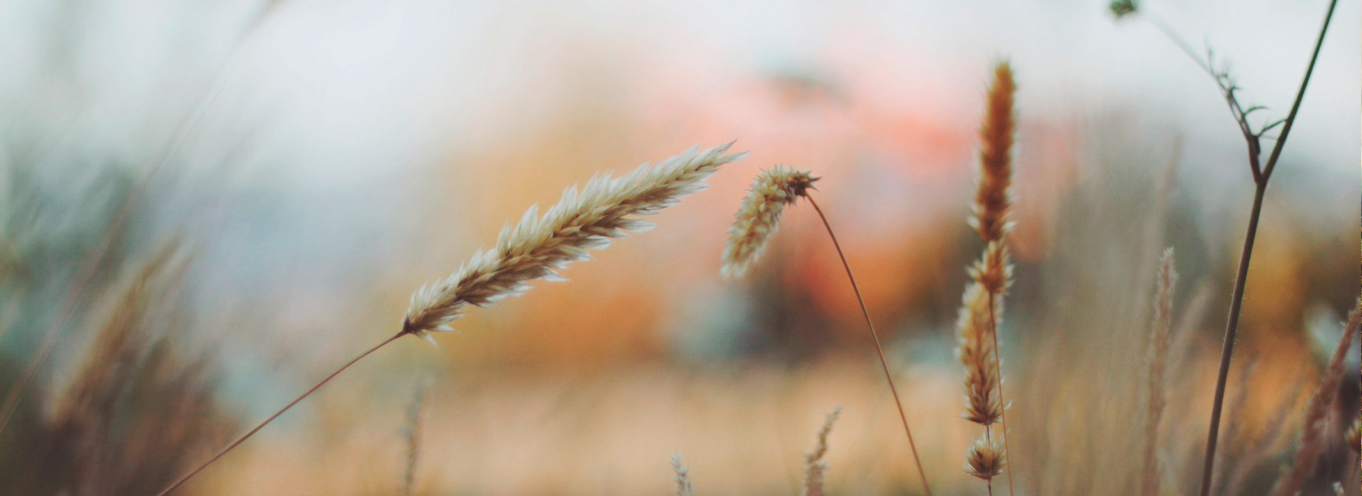 手机号短信轰在线轰炸免费软件