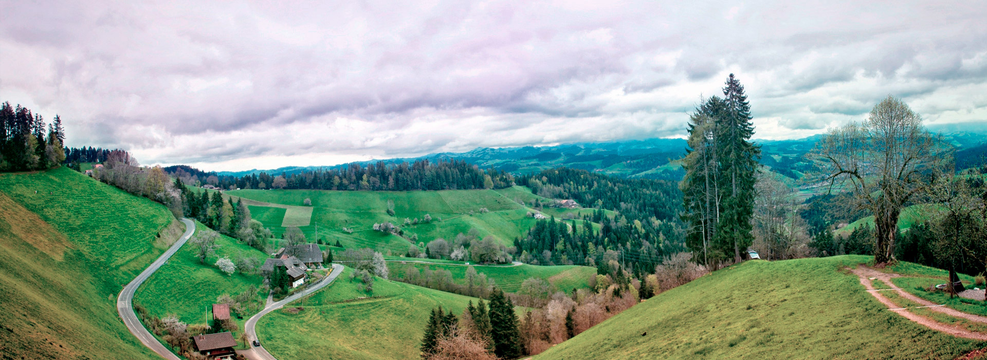 短信压力测试器免费网页版
